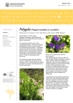NRM Plan Polygala (Polygala myrtifolia var. myrtifolia)