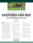 Toxic Plants of Concern in Pastures and Hay for Michigan Horses