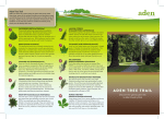 Aden Tree Trail Leaflet