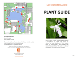 plant guide - Lan Su Chinese Garden