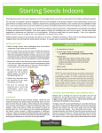 Starting Seeds Indoors