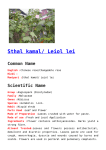 Sthal kamal/ Leiol lei - Manipur Medicinal Plants