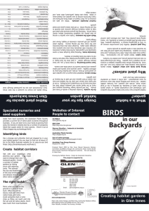 Bird in Backyards Brochure - Glen Innes Natural Resources