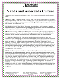 Vanda and Ascocenda Culture
