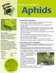 Aphids - Aggie Horticulture