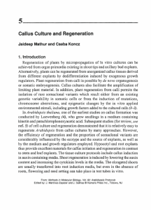 5 Callus Culture and Regeneration