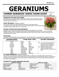 geraniums - Humber Nurseries Ltd.