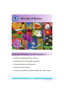 Diversity of flowers - e