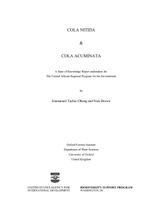 COLA NITIDA and COLA ACUMINATA - A State of