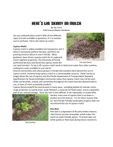 Here`s The Skinny On Mulch - UF/IFAS Extension Polk County