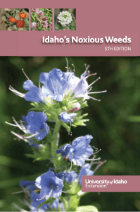 Idaho`s Noxious Weeds - College of Agricultural and Life Sciences