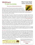 Midtown Carnivores - Dionaea Plant Care Sheet