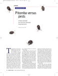Pitomba versus pests - Revista Pesquisa Fapesp