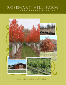 our 2010 Spring Catalog