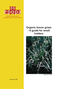 Organic lemon grass - A guide for small holders December 2005