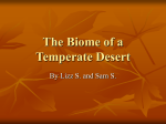 The Biome of a Temperate Desert By Lizz S. and Sam S.