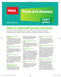 WGF160_How to deal with pansy diseases.indd