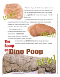 The Scoop On Dino Poop