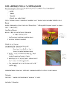 part 4: reproduction of flowering plants