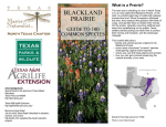 Blackland Prairie Field Guide - North Texas Master Naturalist