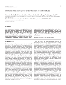 Pitx1 and Pitx2 are required for development of hindlimb buds