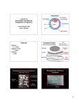 PPT slides handout as PDF