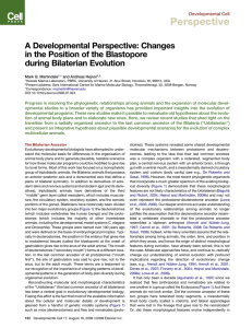 A Developmental Perspective: Changes in the Position of the
