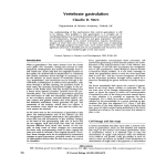 Vertebrate gastrulation