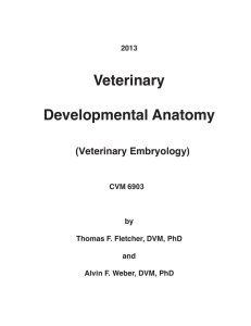Veterinary Developmental Anatomy Class Notes