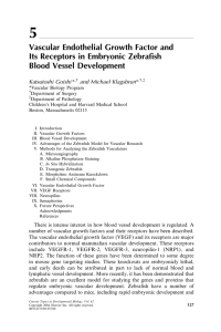 Vascular Endothelial Growth Factor and Its Receptors in Embryonic