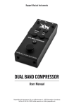dual band compressor - Ruppert Musical Instruments