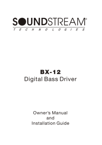 BX-12 Digital Bass Driver