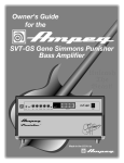Ampeg SVT-GS Gene Simmons Punisher Bass Amp