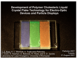 Development of Polymer Cholesteric Liquid Crystal Flake