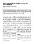 Anthropomorphizing the Mouse Cardiac Action Potential via a Novel