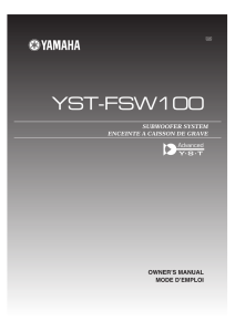 YST-FSW100