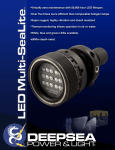 LED Multi SeaLite