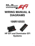 wiring manual & diagrams 199r10555