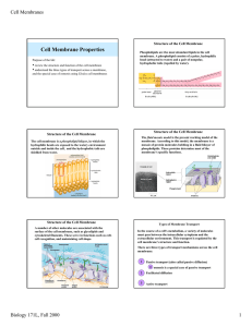 Cell Membrane Properties