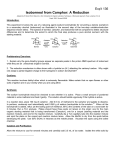 Isoborneol from Camphor: A Reduction