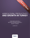 Agricultural Productivity and Growth in Turkey