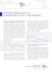 The exchange raTe as a moneTary policy insTrumenT