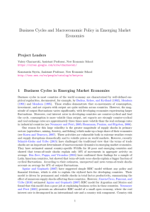 Business Cycles and Macroeconomic Policy in Emerging Market