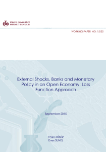External Shocks, Banks and Monetary Policy in an Open