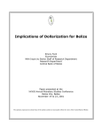 Implications of Dollarization for Belize