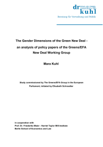 General remarks on the Vision of the Green New Deal