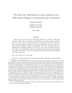 The firm size distribution across countries and skill