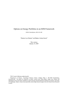 Options on Energy Portfolios in an HJM Framework