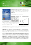 Information Sheet AMT - Scottish Drugs Forum