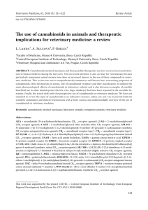 The use of cannabinoids in animals and therapeutic implications for